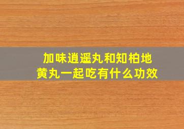 加味逍遥丸和知柏地黄丸一起吃有什么功效