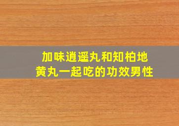 加味逍遥丸和知柏地黄丸一起吃的功效男性