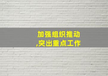 加强组织推动,突出重点工作