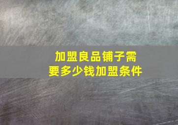 加盟良品铺子需要多少钱加盟条件