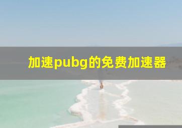 加速pubg的免费加速器