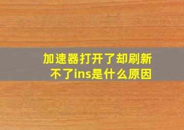 加速器打开了却刷新不了ins是什么原因