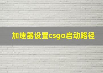 加速器设置csgo启动路径