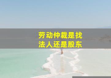 劳动仲裁是找法人还是股东