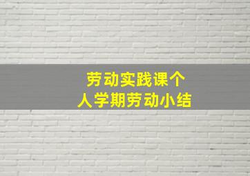 劳动实践课个人学期劳动小结