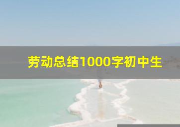 劳动总结1000字初中生