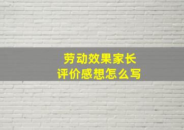 劳动效果家长评价感想怎么写