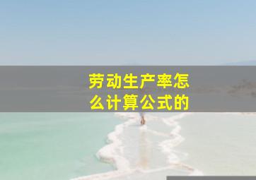 劳动生产率怎么计算公式的