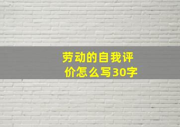 劳动的自我评价怎么写30字