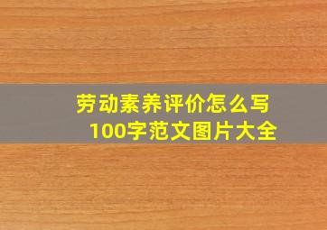 劳动素养评价怎么写100字范文图片大全