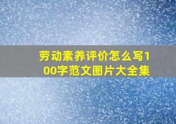 劳动素养评价怎么写100字范文图片大全集