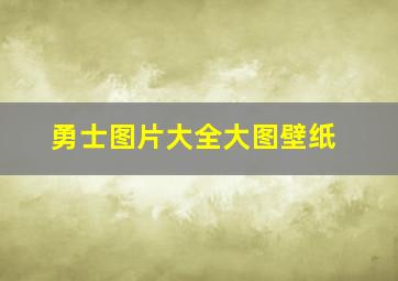 勇士图片大全大图壁纸