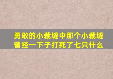 勇敢的小裁缝中那个小裁缝曾经一下子打死了七只什么