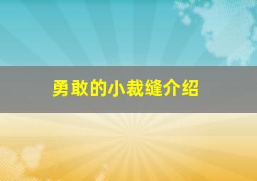 勇敢的小裁缝介绍