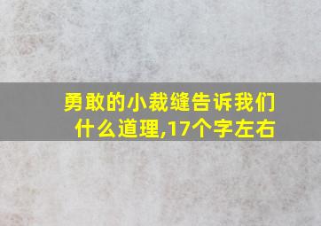 勇敢的小裁缝告诉我们什么道理,17个字左右