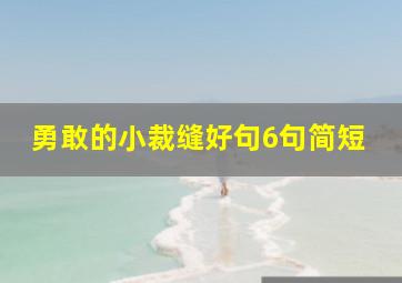 勇敢的小裁缝好句6句简短