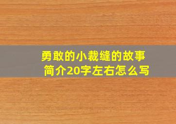 勇敢的小裁缝的故事简介20字左右怎么写