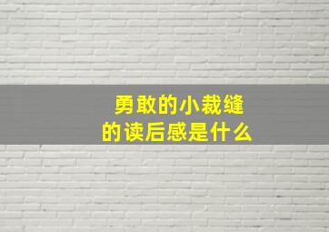 勇敢的小裁缝的读后感是什么