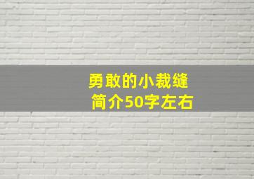 勇敢的小裁缝简介50字左右