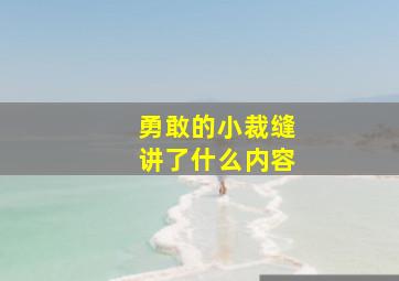 勇敢的小裁缝讲了什么内容