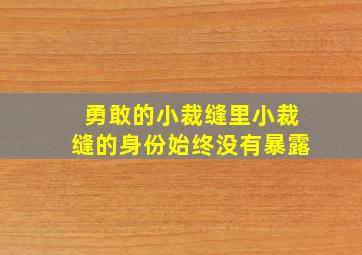 勇敢的小裁缝里小裁缝的身份始终没有暴露