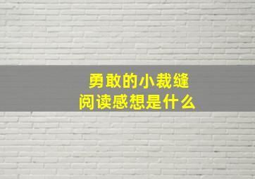 勇敢的小裁缝阅读感想是什么