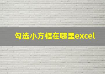 勾选小方框在哪里excel