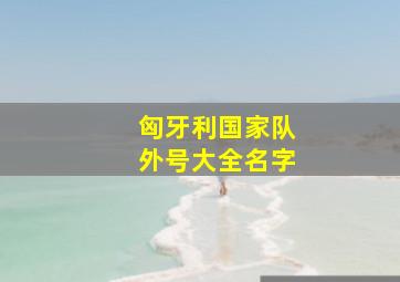 匈牙利国家队外号大全名字