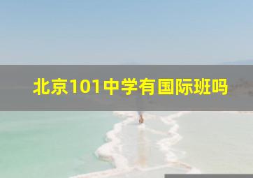 北京101中学有国际班吗