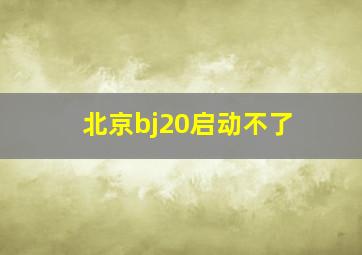 北京bj20启动不了