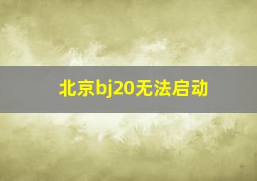 北京bj20无法启动