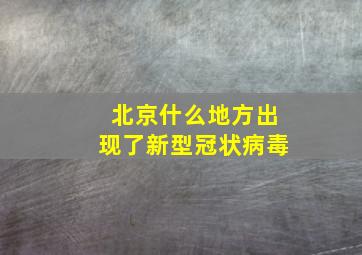 北京什么地方出现了新型冠状病毒