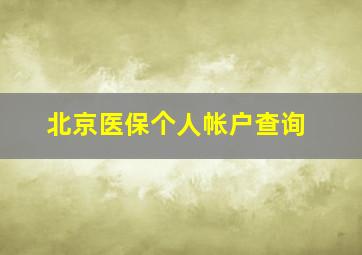 北京医保个人帐户查询