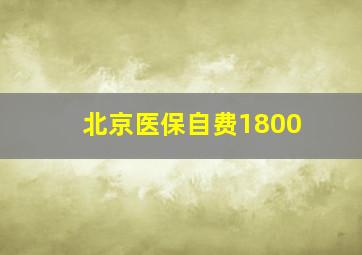 北京医保自费1800