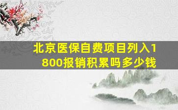 北京医保自费项目列入1800报销积累吗多少钱