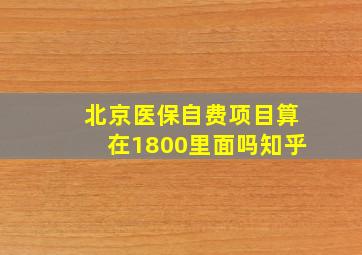 北京医保自费项目算在1800里面吗知乎