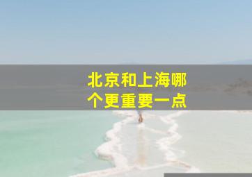 北京和上海哪个更重要一点