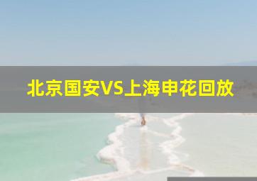 北京国安VS上海申花回放