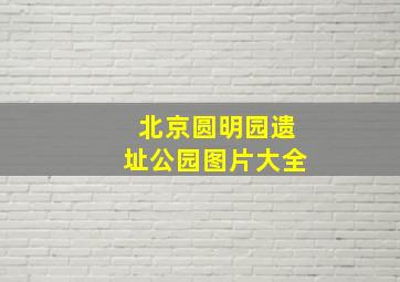 北京圆明园遗址公园图片大全