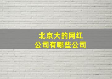 北京大的网红公司有哪些公司