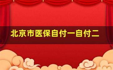 北京市医保自付一自付二