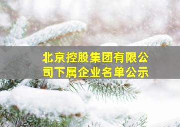 北京控股集团有限公司下属企业名单公示