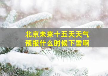 北京未来十五天天气预报什么时候下雪啊