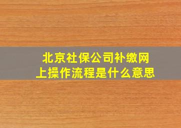 北京社保公司补缴网上操作流程是什么意思