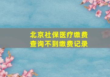 北京社保医疗缴费查询不到缴费记录