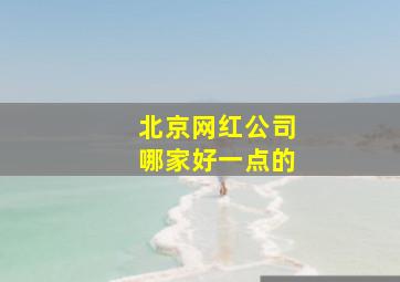 北京网红公司哪家好一点的