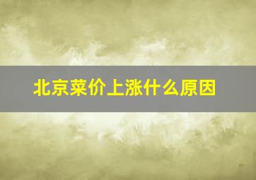 北京菜价上涨什么原因