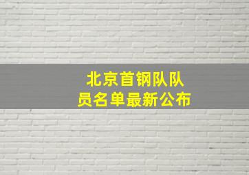 北京首钢队队员名单最新公布