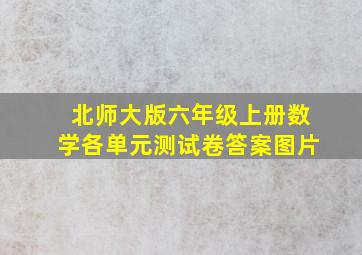 北师大版六年级上册数学各单元测试卷答案图片