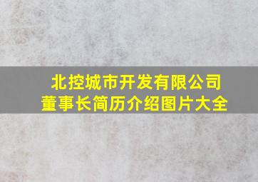 北控城市开发有限公司董事长简历介绍图片大全